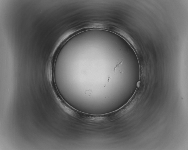 X0000116141131200911301515