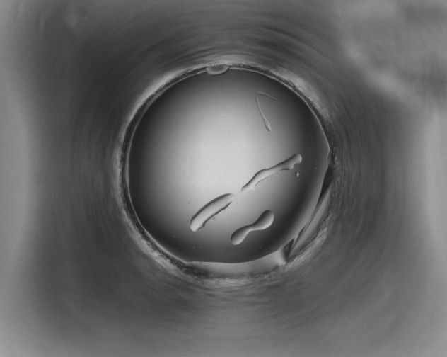 X0000116141134200911301515