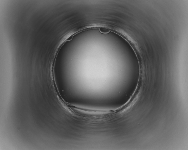 X0000116141137200911301515