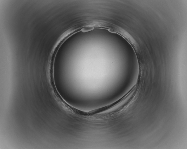 X0000116141138200911301515