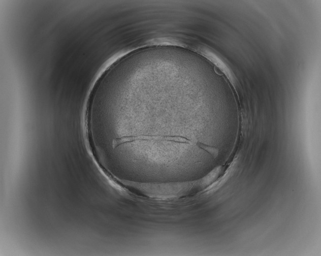 X0000116141141200911301515