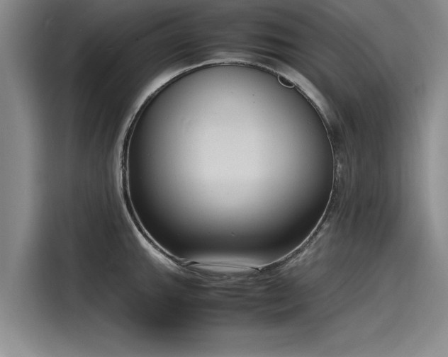 X0000116141143200911301515