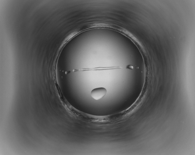 X0000116141145200911301515