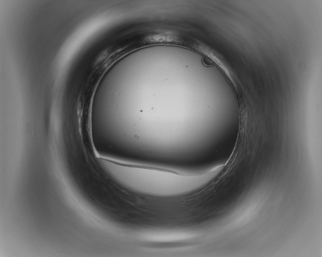 X0000116141151200911301515