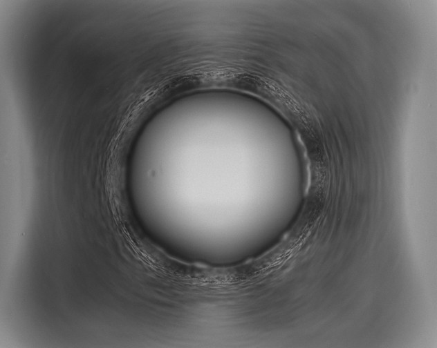 X0000116141153200911301515