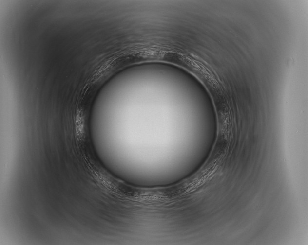 X0000116141154200911301515