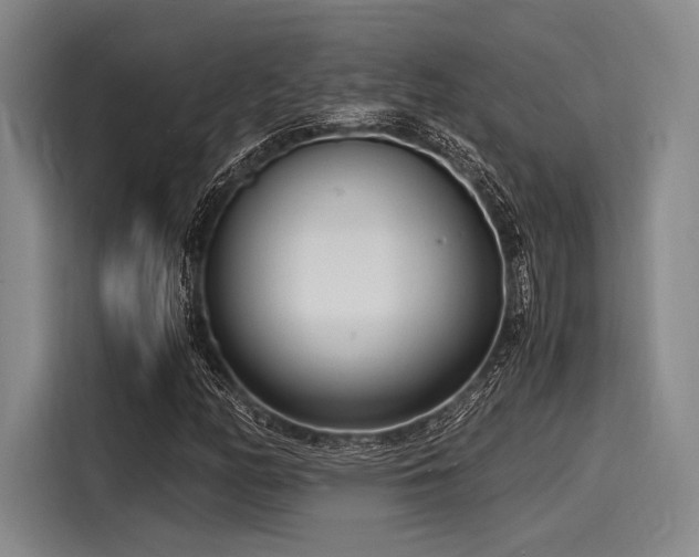 X0000116141158200911301515