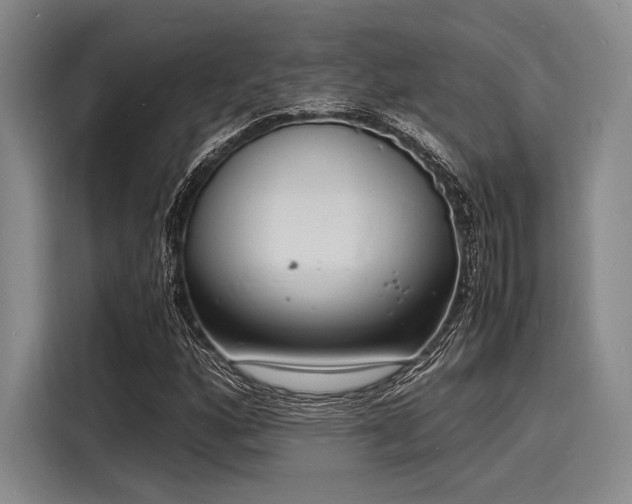 X0000116141160200911301515