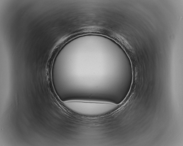 X0000116141164200911301515