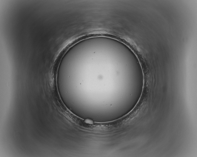 X0000116141167200911301515