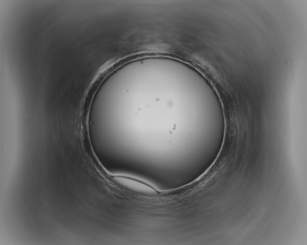X0000116141168200911301515