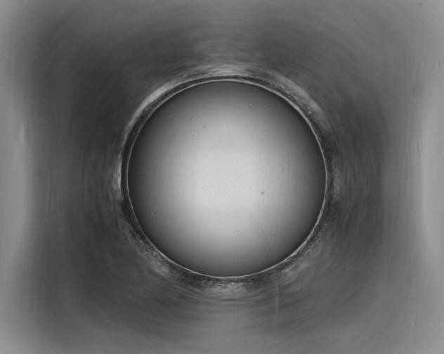 X0000116141174200911301515