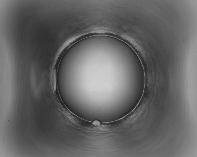 X0000116141175200911301515