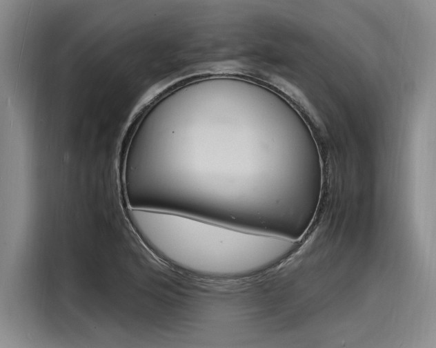 X0000116141176200911301515