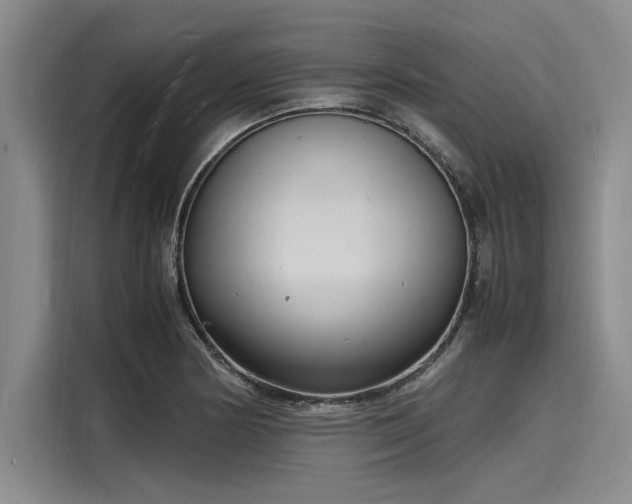 X0000116141178200911301515