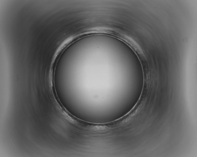 X0000116141180200911301514