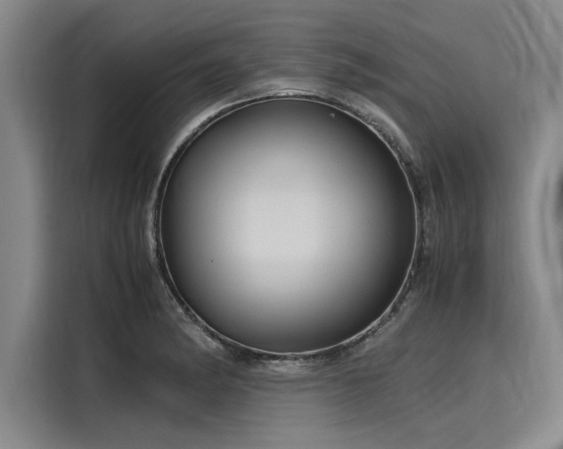 X0000116141182200911301514
