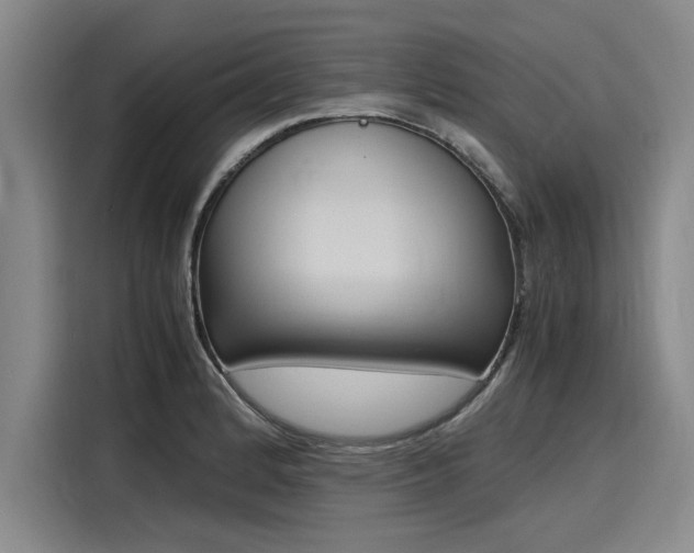 X0000116141184200911301514