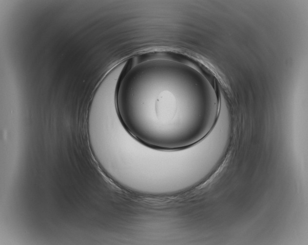 X0000116141185200911301514