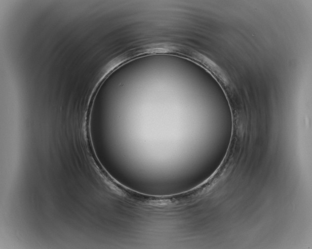 X0000116141186200911301514