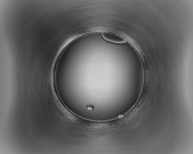 X0000116141187200911301514