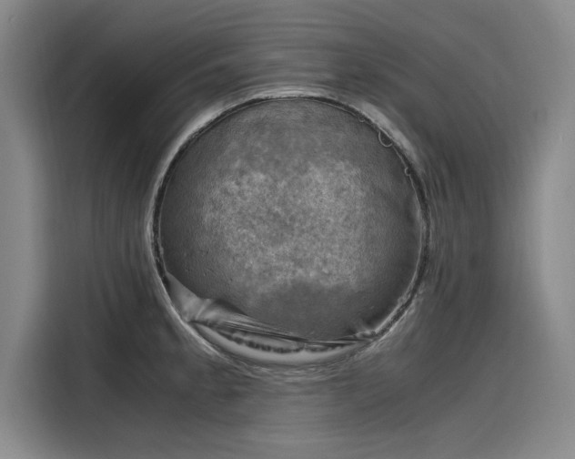 X0000116141189200911301514