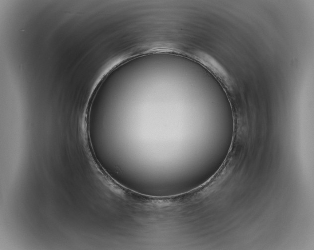 X0000116141190200911301514