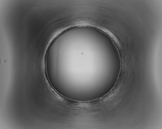 X0000116141191200911301514
