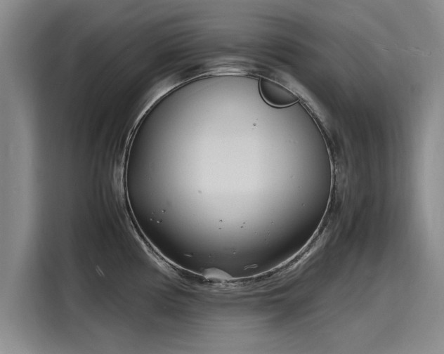 X0000116141194200911301514