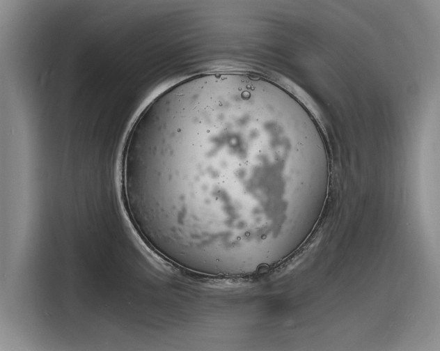 X0000116141195200911301514