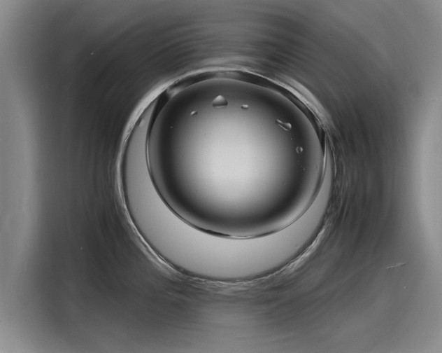 X0000116141196200911301514