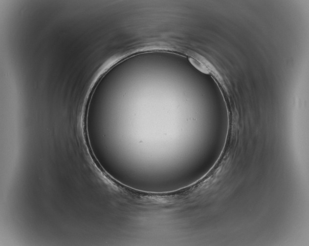 X0000116141197200911301514