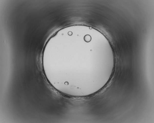 X0000116141198200911301514