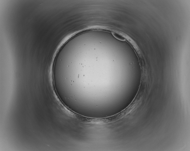 X0000116141199200911301514
