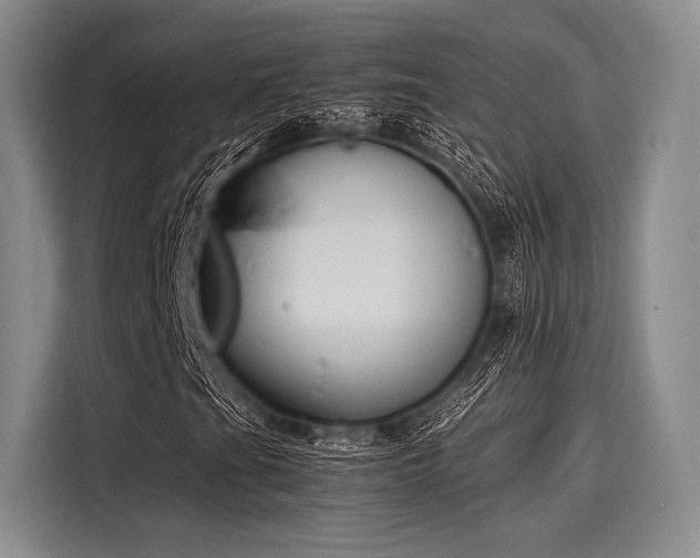 X0000116141201200911301514