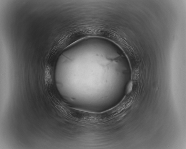 X0000116141202200911301514