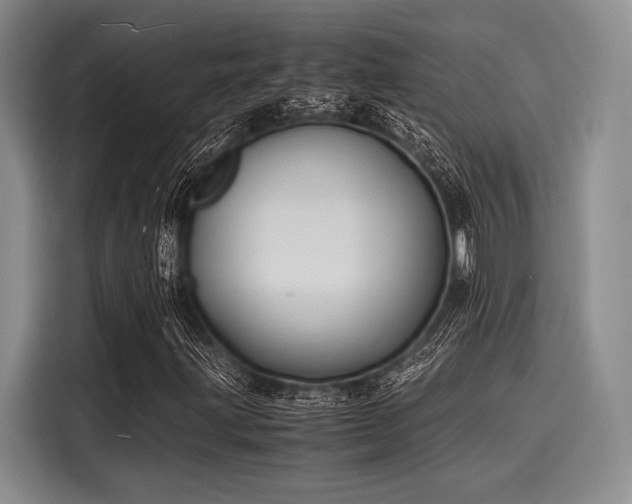 X0000116141203200911301514