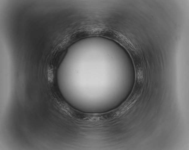 X0000116141204200911301514