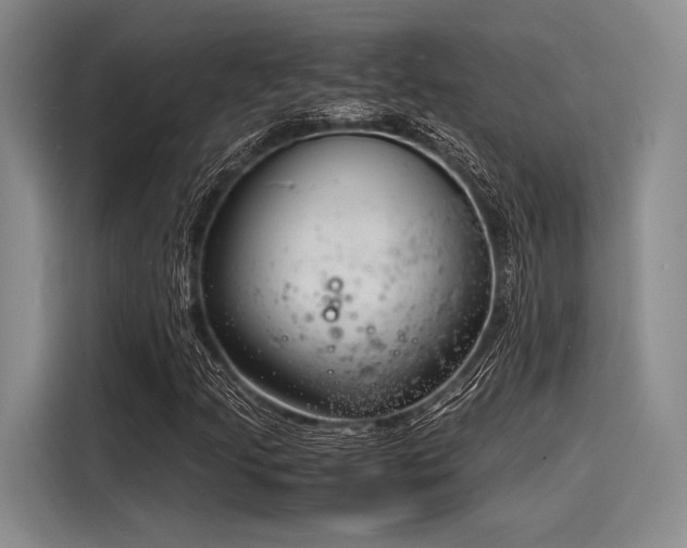 X0000116141205200911301514