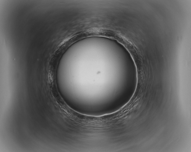 X0000116141206200911301514