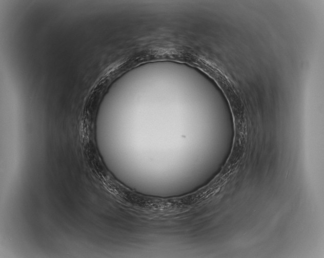 X0000116141207200911301514