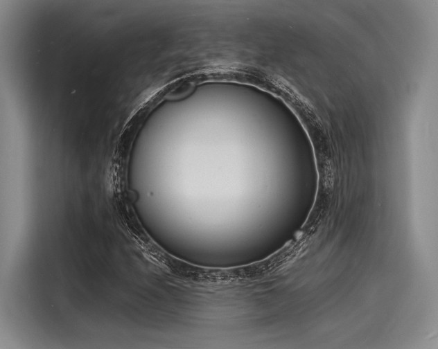 X0000116141208200911301514