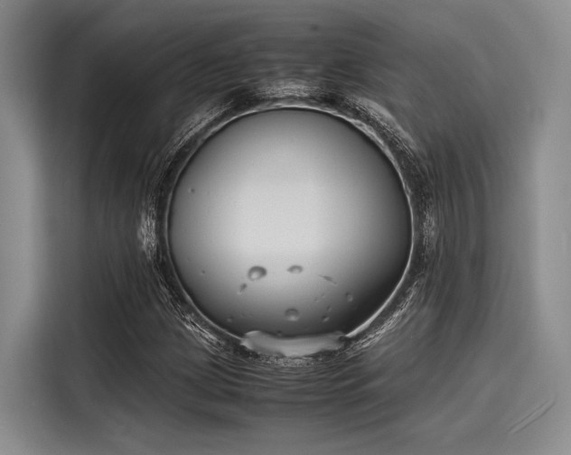 X0000116141209200911301514