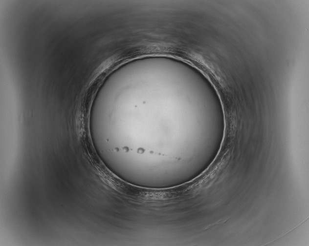 X0000116141211200911301514