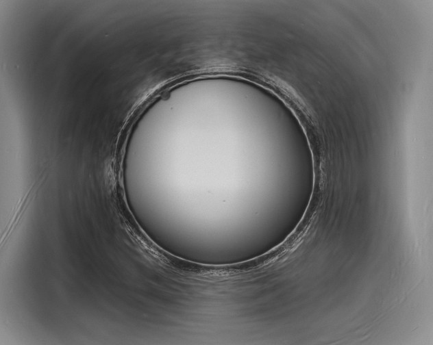 X0000116141212200911301514