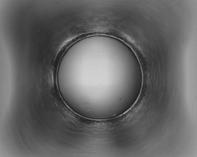 X0000116141214200911301514