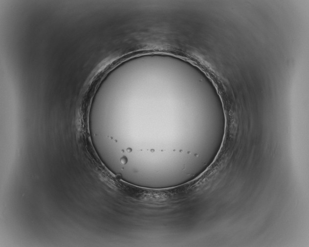 X0000116141215200911301514