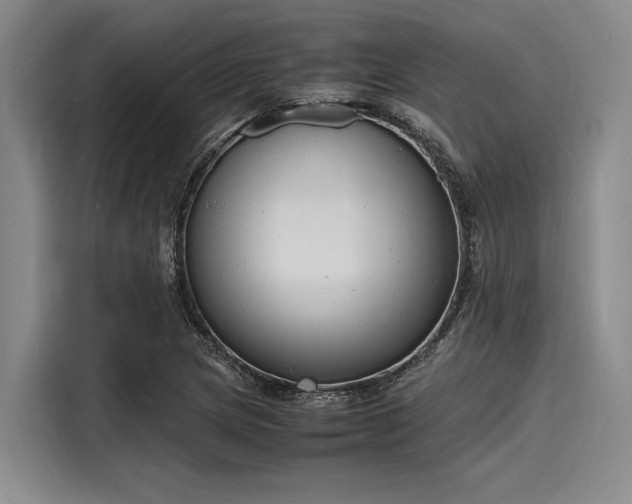 X0000116141217200911301514