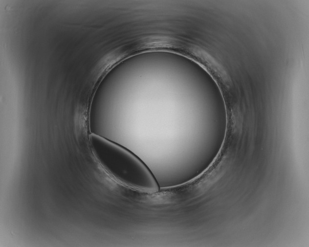 X0000116141225200911301514