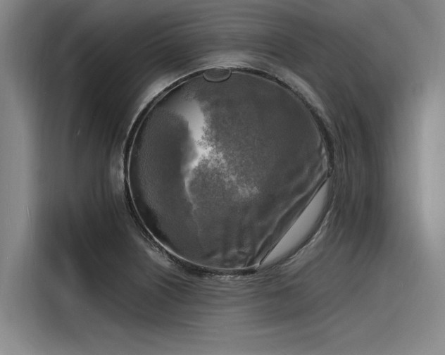 X0000116141226200911301514